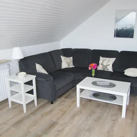 Apartment Sperrentalblick Sankt Andreasberg